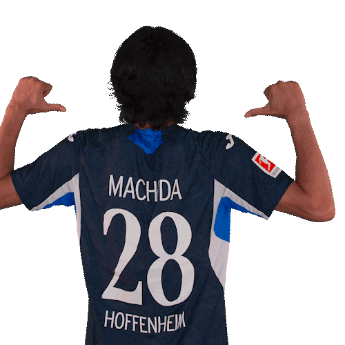 Sport Bundesliga Sticker by TSG Hoffenheim