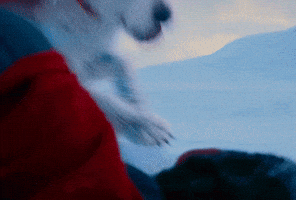 Dog GIF