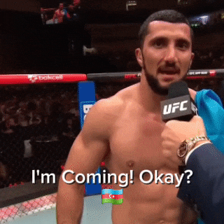 Ufc GIF