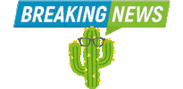 Cactus Talking Sticker by ÔPYM