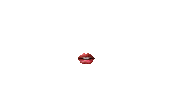 Nova Aesthetics Sticker