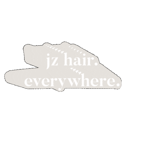 Hair Extensions Sticker by JZ Styles Co