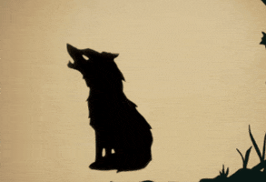 Gloriousladiesofpuppetry spooky wolves puppets full moon GIF