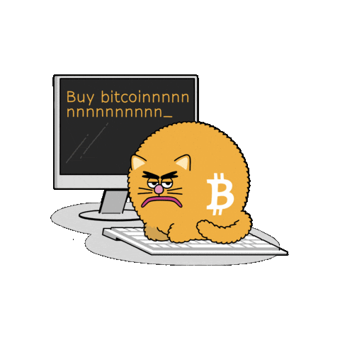 Bitcoin Meme Sticker by herecomesbitcoin