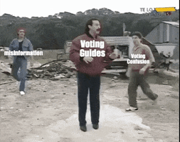Meme gif. Man surrounded by a group of men kicks and thrashes wildly in self-defense, knocking the men to the ground one by one. The middle man is labeled "voting guides" and the other men are labeled "being uninformed," "voting confusion," "misinformation," and "voter suppression."