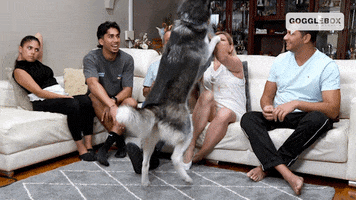 Standing Back Off GIF by Gogglebox Australia