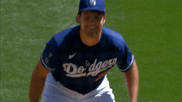 Excited La Dodgers GIF by Los Angeles Dodgers
