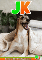 Henlo Hooman Fren GIF by PetJuvenate - PJ