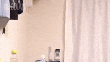 Cat What GIF by DRODIAN™ BRAND