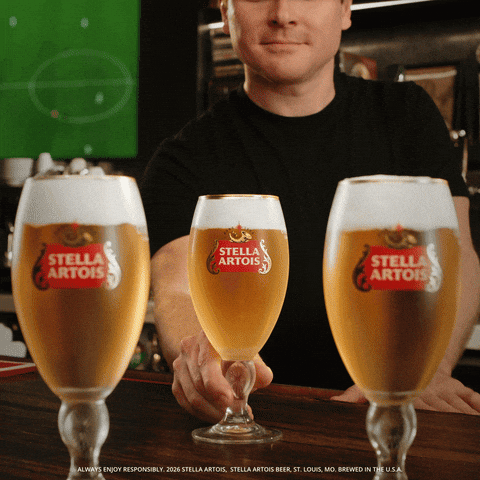 Fifa World Cup Soccer GIF by Stella Artois