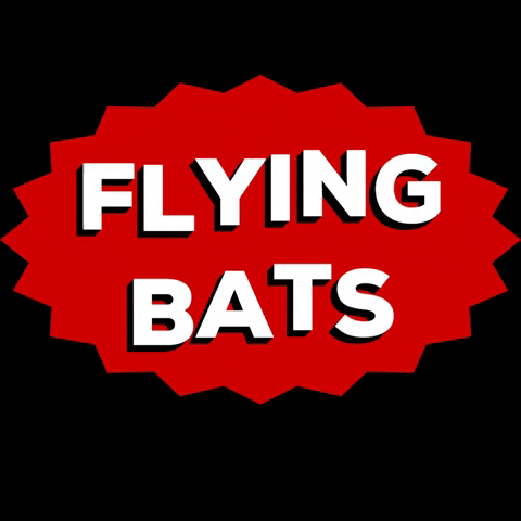 theflyingbats fbfc flyingbats flyingbatsfootballclub GIF