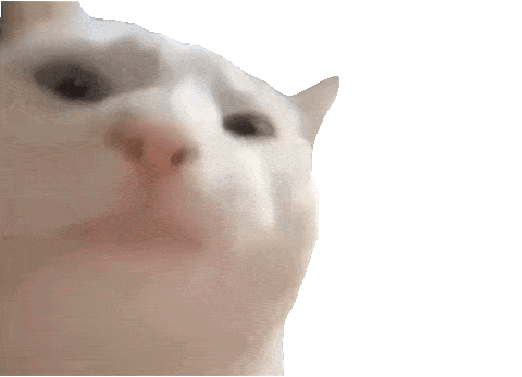 giphy-downsized.gif