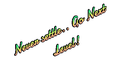 Next Level Painting LLC Sticker