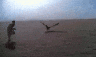 Full Send Fast Running GIF