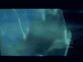 200.gif?cid=fc005b0863d62f4a6acd2aa8c24cef0785895cbd682dcd34&rid=200.gif&ct=g
