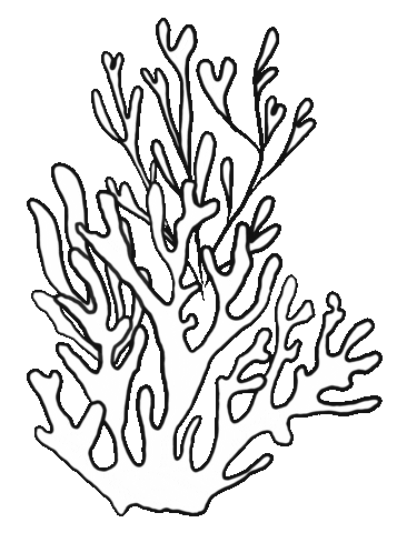 Cosmetics Christinaitjustworks Sticker by nickol_russia