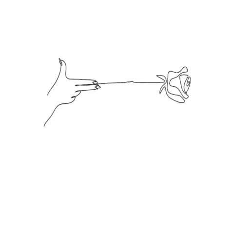 Wine Rose Sticker by nachbar