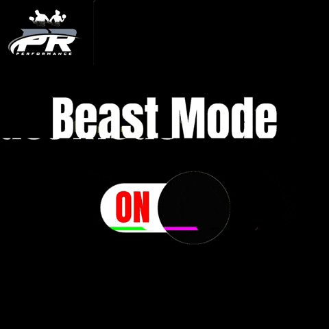 PPRerformance.Team GIF