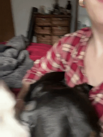 Dog Kisses GIF