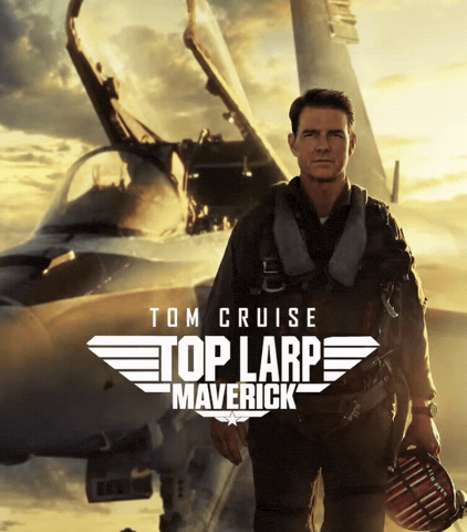 Top Gun GIF