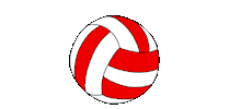 Vestel Türkiye Sticker