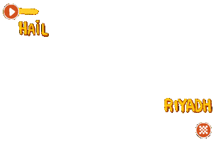 Rally Racer Sticker by Shamilov