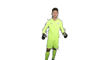 Loewen Sticker by KSV Hessen Kassel e.V.