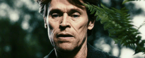 willem dafoe penis dancing gif willem dafoe penis dancing gif