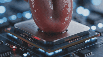 Datacenterfornicator GIF by Private Island