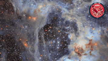 Stars Universe GIF by ESA/Hubble Space Telescope