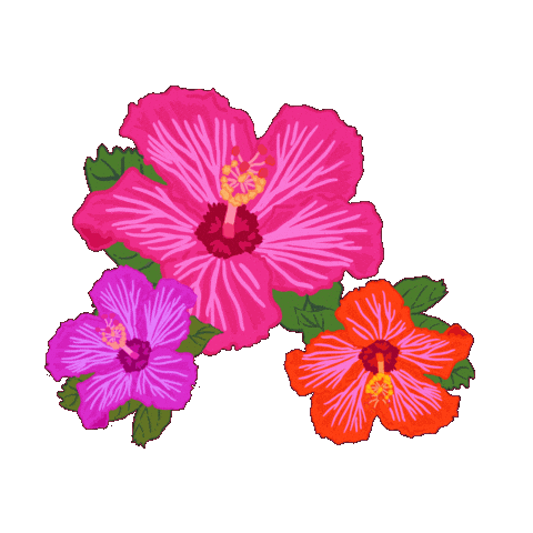 Hawaii Hibiscus Sticker by Daisy Lemon