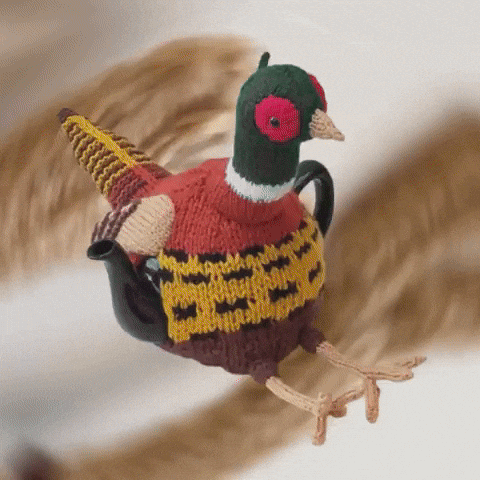 British Countryside Bird GIF by TeaCosyFolk