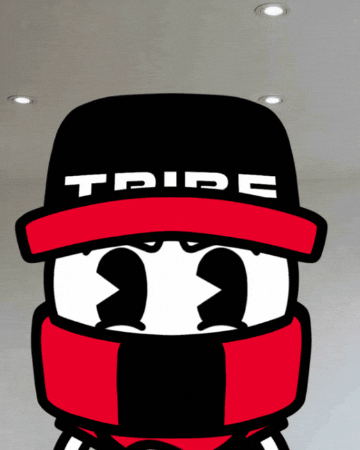 What The Hell Wtf GIF by Tribe Gaming