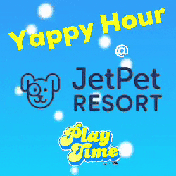 Jetpetresort GIF