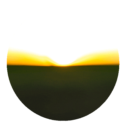 Sementesshull Sticker by Shull Seeds