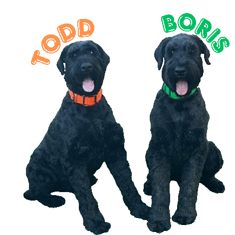 Boris Dog Sticker