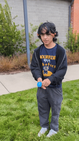 Balloon Robotics GIF