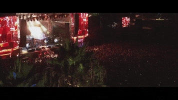 Ohana Fest GIF by Pearl Jam