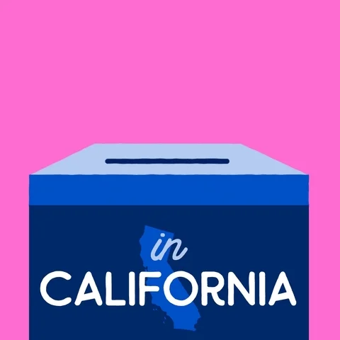 Voting Los Angeles GIF
