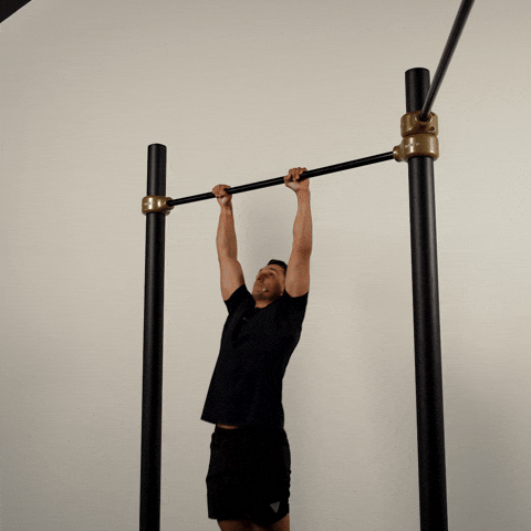 Calisthenics Pull Over GIF