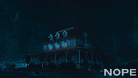 Looking Up Jordan Peele GIF by NOPE - Find & Share on GIPHY