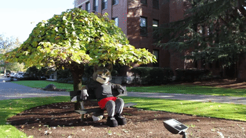 fall relaxation GIF by Western Oregon University