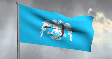 Flag GIF