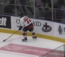 Michigan Mckenna GIF