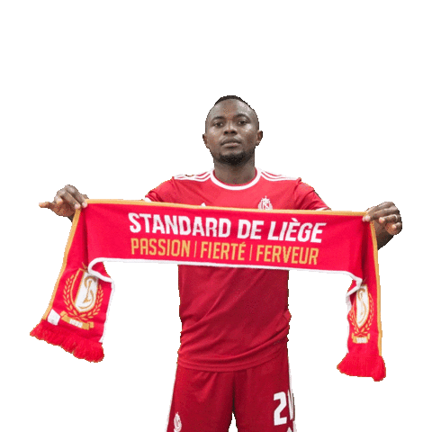 Football Soccer Sticker by Standard de Liège