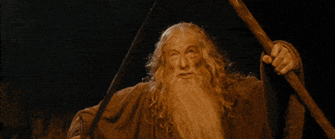 Giphy - You Shall Not Pass Lord Of The Rings GIF