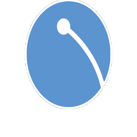 Narro Zunft Villingen Sticker