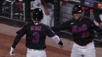 Celebrate Home Run GIF by New York Mets