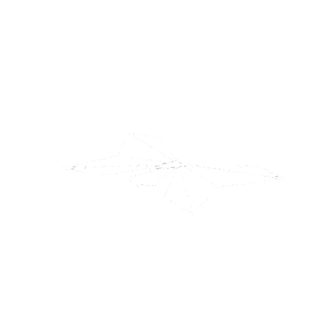 Edm Butterfly Sticker by flutttr