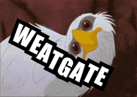 Frimd GIF